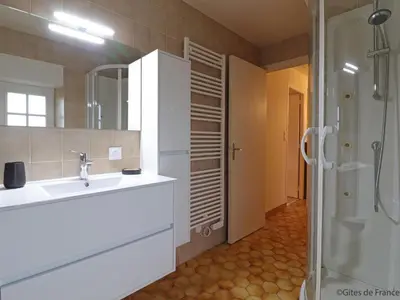 Salle de bains dans l'établissement Maison paisible en nature avec cheminée et animaux acceptés - FR-1-497-154