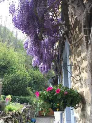 Jardin de l'établissement Au Bon Accueil