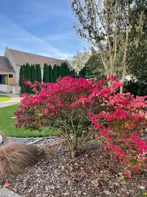 Jardin de l'établissement Gite l'Atelier