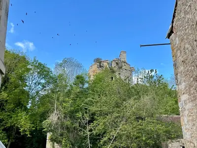 Plan de l'établissement Grange à grains à l'Ombre d'une Tour