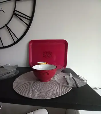 Plan de l'établissement Hyper centre, appart F2 refait à neuf (TV+++)