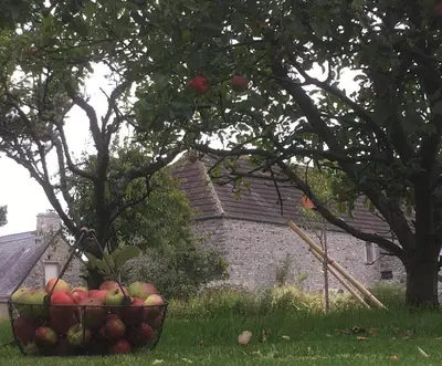 Jardin de l'établissement A la Ferme de Saint Germain