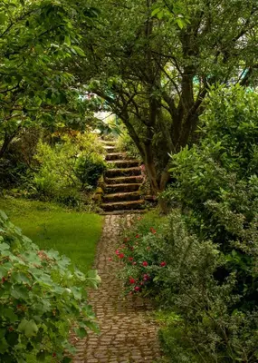 Jardin de l'établissement Une Suite au jardin