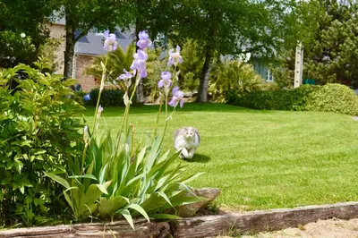 Jardin de l'établissement La Pichonnière