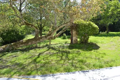 Jardin de l'établissement Maison typique - Très grand jardin - 7km de la mer