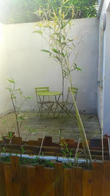 Jardin de l'établissement STUDIO PROCHE DE LA MER