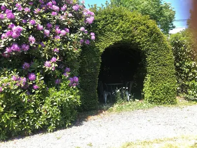 Jardin de l'établissement La Maison Ruth