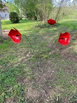 Jardin de l'établissement Le Torcopel