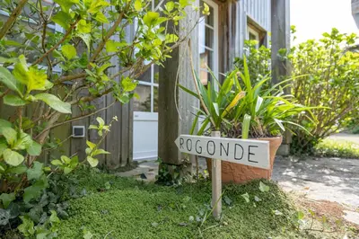 Jardin de l'établissement Gîte Rogonde