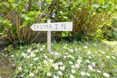Jardin de l'établissement Gîte Taumain