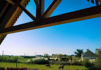 Animaux dans la maison de vacances ou à proximité