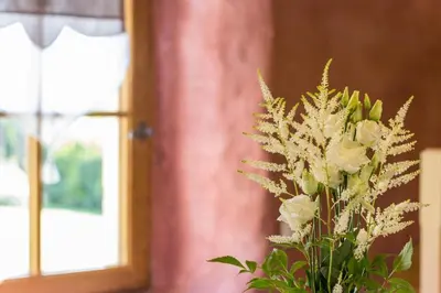 Plan de l'établissement Chaleureux gîte aux portes de l'histoire