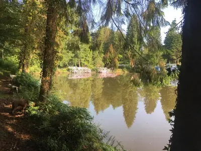 Paysage naturel près de la maison de vacances