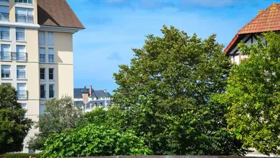 Jardin de l'établissement Superbe appartement proche port Guillaume