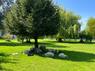 Jardin de l'établissement L étable