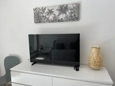 Télévision ou salle de divertissement dans l'établissement Studio en hypercentre refait à neuf en 2023 avec une belle terrasse!