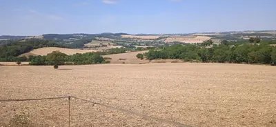 Paysage naturel près de l'appartement
