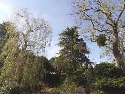 Jardin de l'établissement Mont Pley