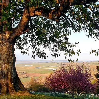 Paysage naturel près de l'appartement
