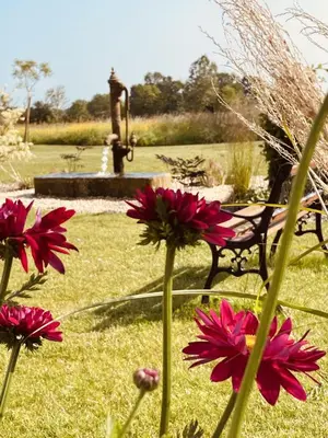 Jardin de l'établissement Aurefees