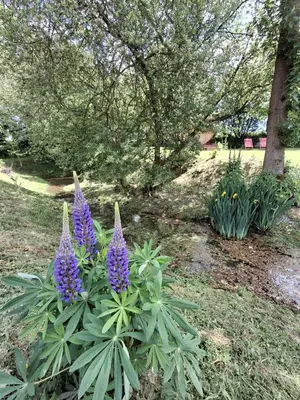 Jardin de l'établissement L'authentique Tonneau à Cidre d'Emma