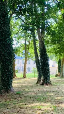 Jardin de l'établissement Chambres Vaugoubert
