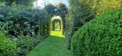 Jardin de l'établissement Gite avec piscine et bain nordique proche des plages du débarquement