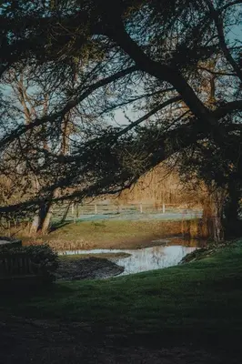 Paysage naturel près de l'appartement