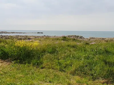 Paysage naturel près de la maison d'hôtes