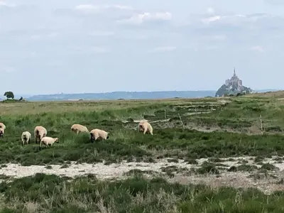 Animaux dans la maison de vacances ou à proximité