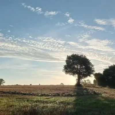 Au Mont & Merveilles