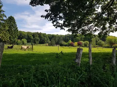 Paysage naturel près de la maison de vacances