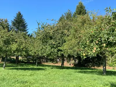 Jardin de l'établissement « Le petit verger »