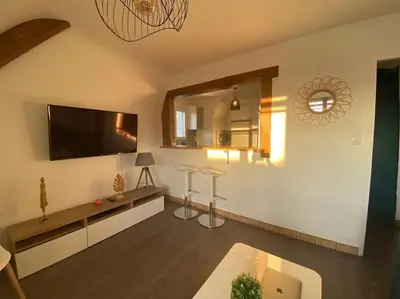 Télévision ou salle de divertissement dans l'établissement Les Mouettes