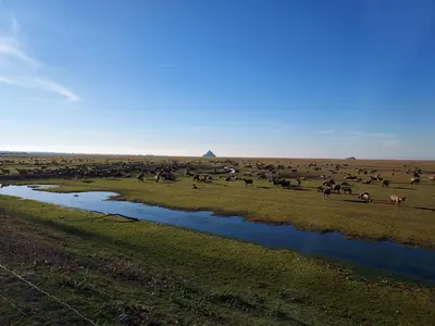 Paysage naturel près de l'appartement