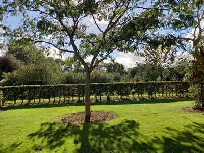 Jardin de l'établissement Les Bleuets