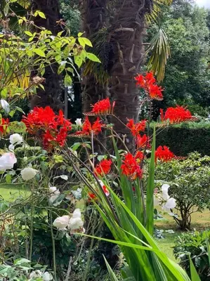 Jardin de l'établissement Le Nalousie