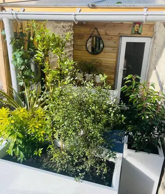 Jardin de l'établissement Le 7