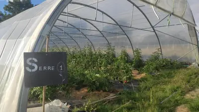 Jardin de l'établissement Eco-gîte à la Ferme d'Elles
