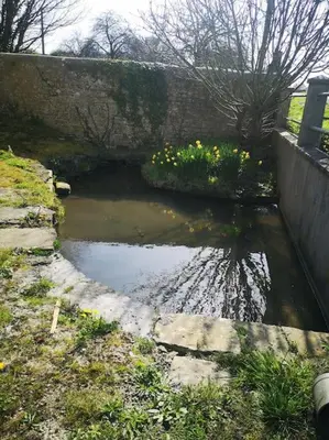 Plan de l'établissement Gîte spacieux et chaleureux