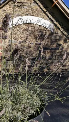 Jardin de l'établissement Gites du Domaine du Petit Moulin, à 15 min de la mer, D-Day, nature et calme, idéal famille