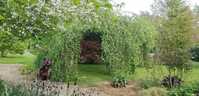Jardin de l'établissement Gîte de la Filuzière