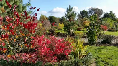 Jardin de l'établissement Gîte de la Filuzière