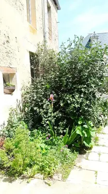 Jardin de l'établissement Logis proche des plages du débarquement