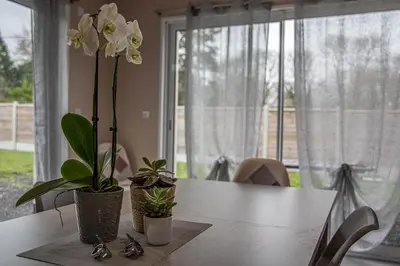 Plan de l'établissement Kokana modern holiday home