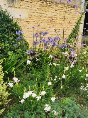 Jardin de l'établissement Chambre de l'Iris
