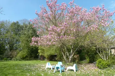 Jardin de l'établissement Maison d'hôtes KerCalow, Chambres d'hôtes