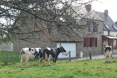 Animaux dans la maison de vacances ou à proximité