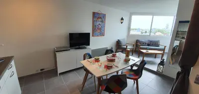 Télévision ou salle de divertissement dans l'établissement Magnifique appartement 46 m2 entièrement rénové et équipé à neuf - 4 personnes