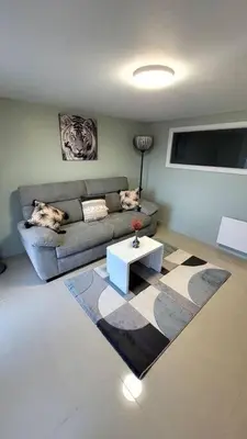 Coin salon dans l'établissement Appart 2 chambres avec extérieur